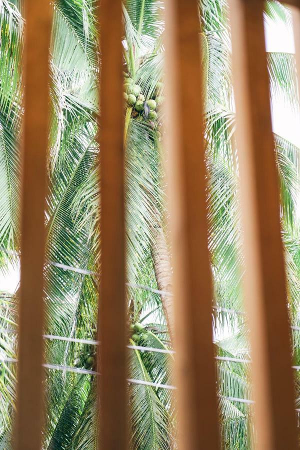 Appartement Diwa Siargao Eco-House à General Luna  Extérieur photo